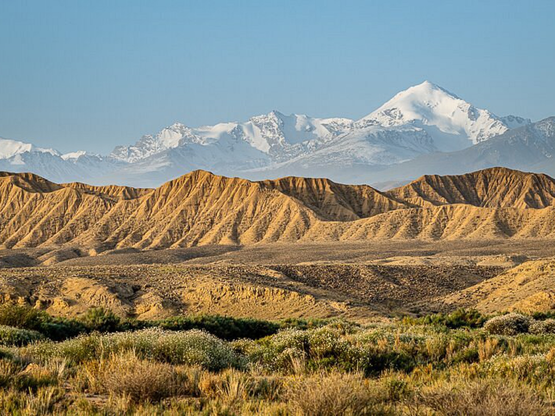 Stepp and mountain landscape