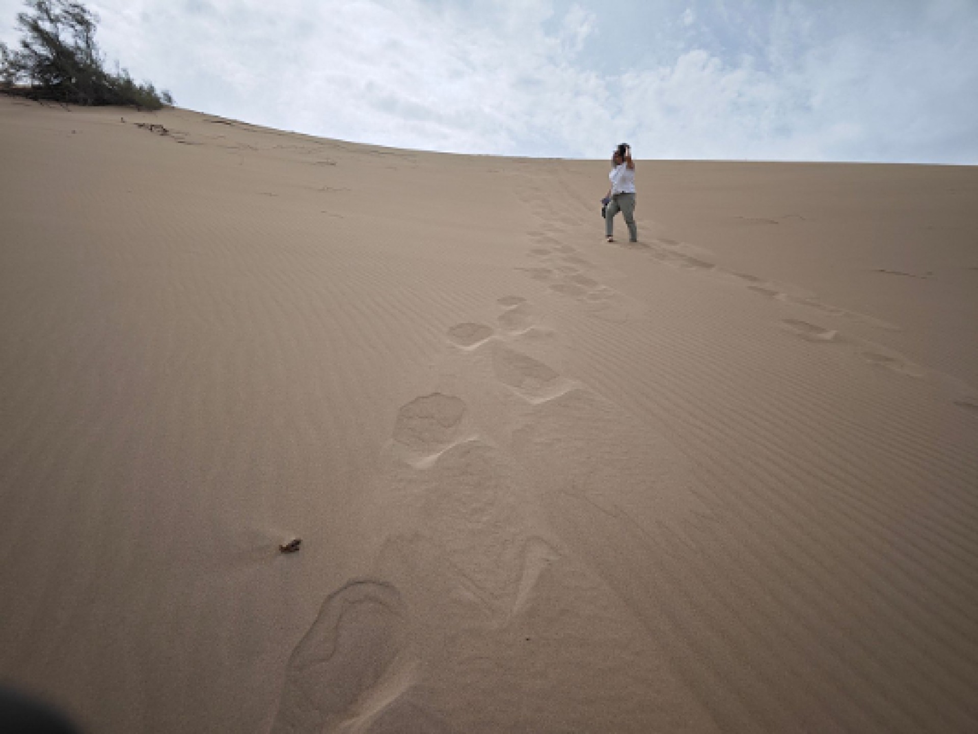 Desert view in Altyn Emel