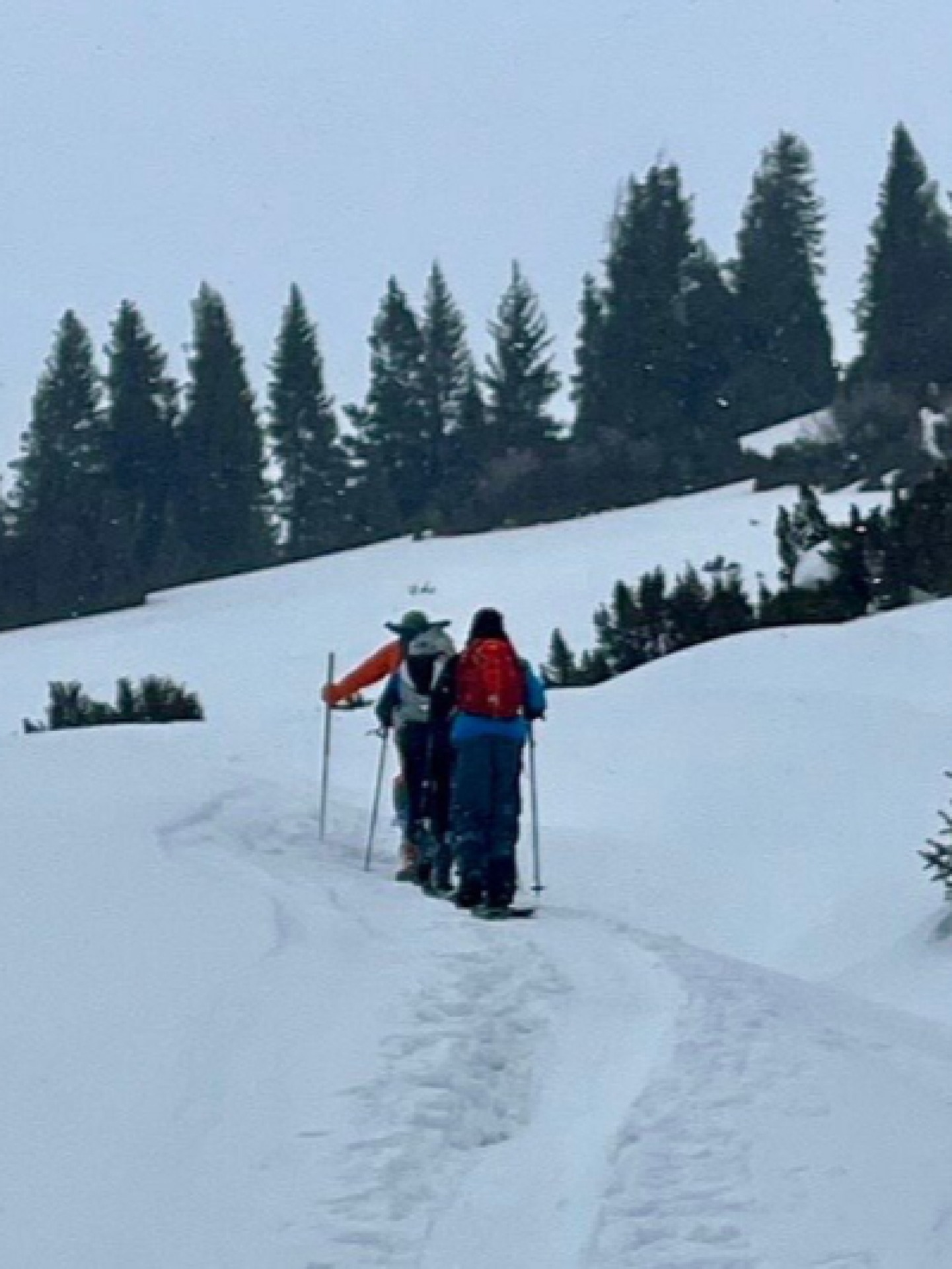 Skitour with guide in Jergalan