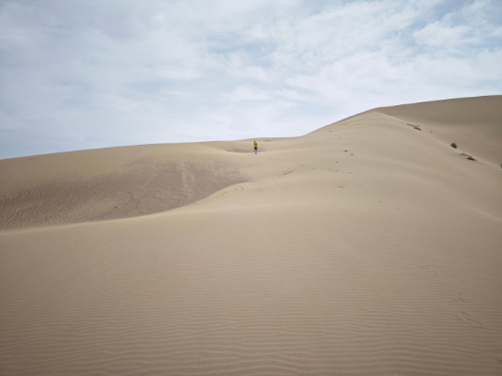 Desert view