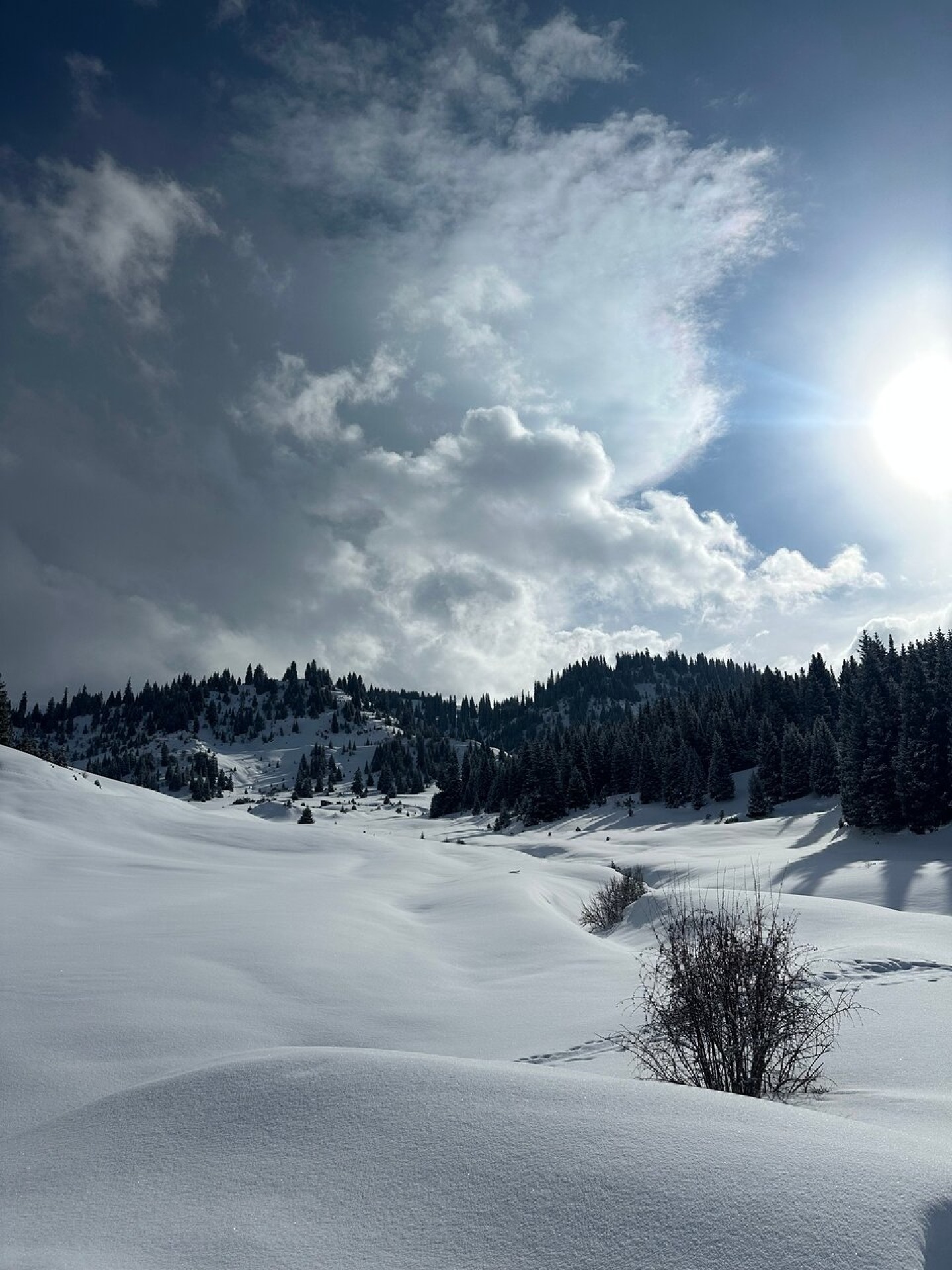 Mountain landscape in Jyrgalan