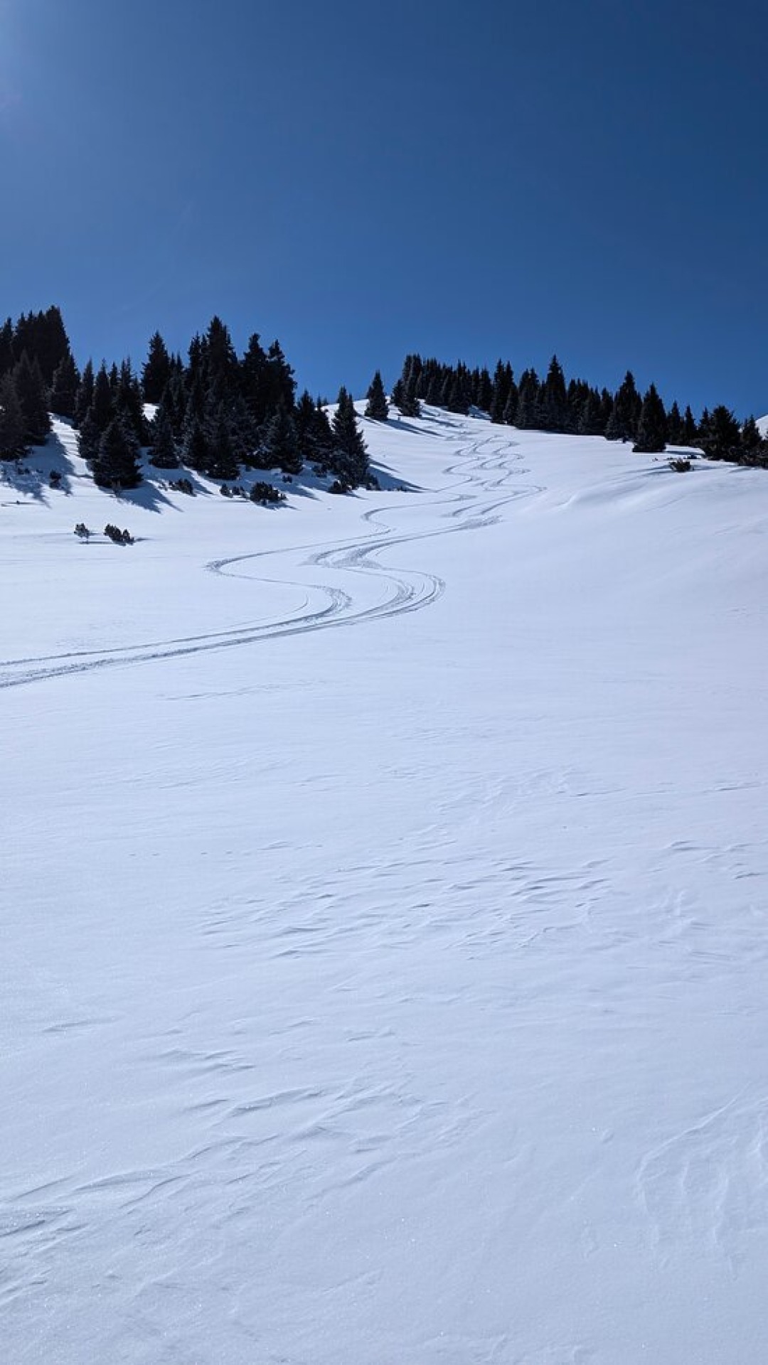 Ski tracks on the snowy slope