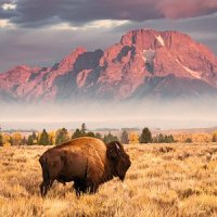 Tripadvisor review: Silk Road Guiding