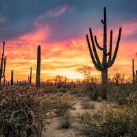 Tripadvisor review: Silk Road Guiding